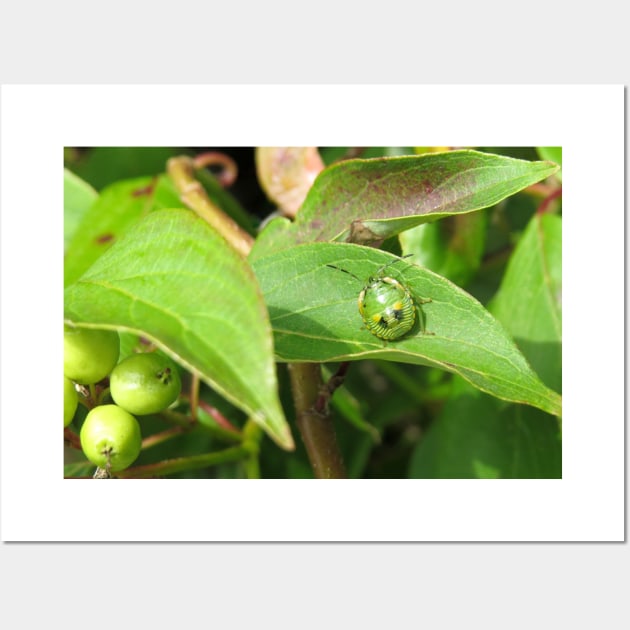 Stink Bug Green No.1 Wall Art by MaryLinH